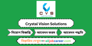 Unlocking Opportunities: Intern - Web Developer Job Offer at Crystal Vision Solutions