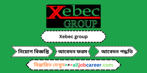 Digital Marketing Manager Job Circular at Xebec Group's 2024