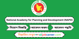 National Academy for Planning and Development (NAPD) Job Circular: Opportunities as a Research Officer in 2024